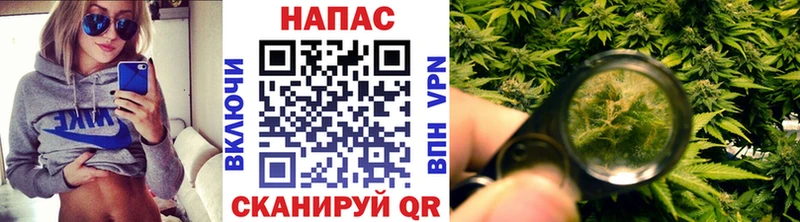 Купить закладку Свободный Альфа ПВП Лсд 25 МДМА МАРИХУАНА МЕФ