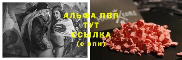 амф Бородино