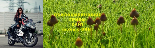 бутират Верея