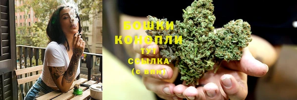 амф Бородино