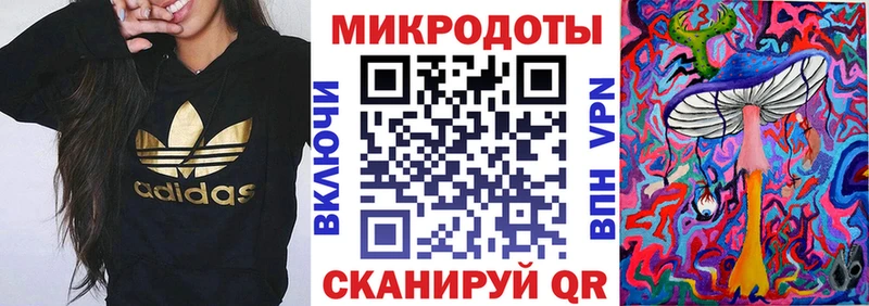 где найти   Свободный  Псилоцибиновые грибы Psilocybine cubensis 