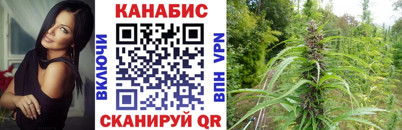 Бошки Шишки OG Kush  Свободный 